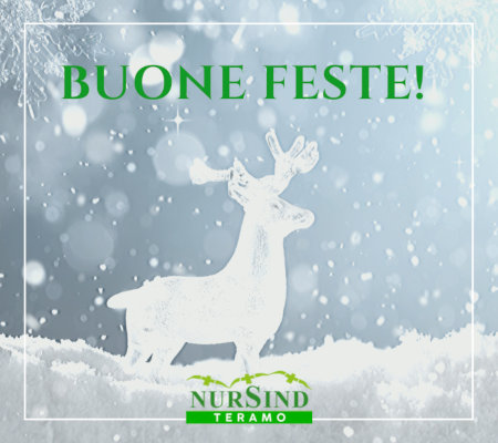 banner di auguri di Natale