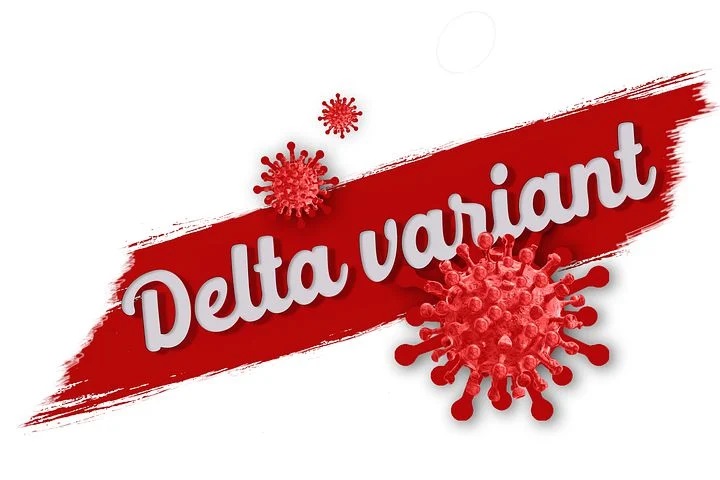 covid 19 6346685 480 nursind teramo variante delta