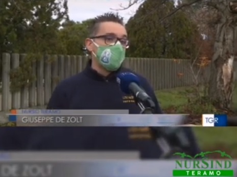 giuseppe de zolt nursind teramo